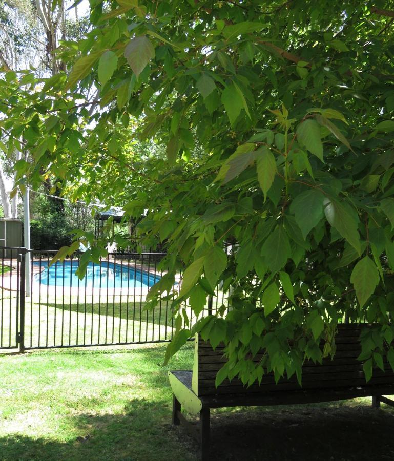 Beechworth Holiday Park Holiday park