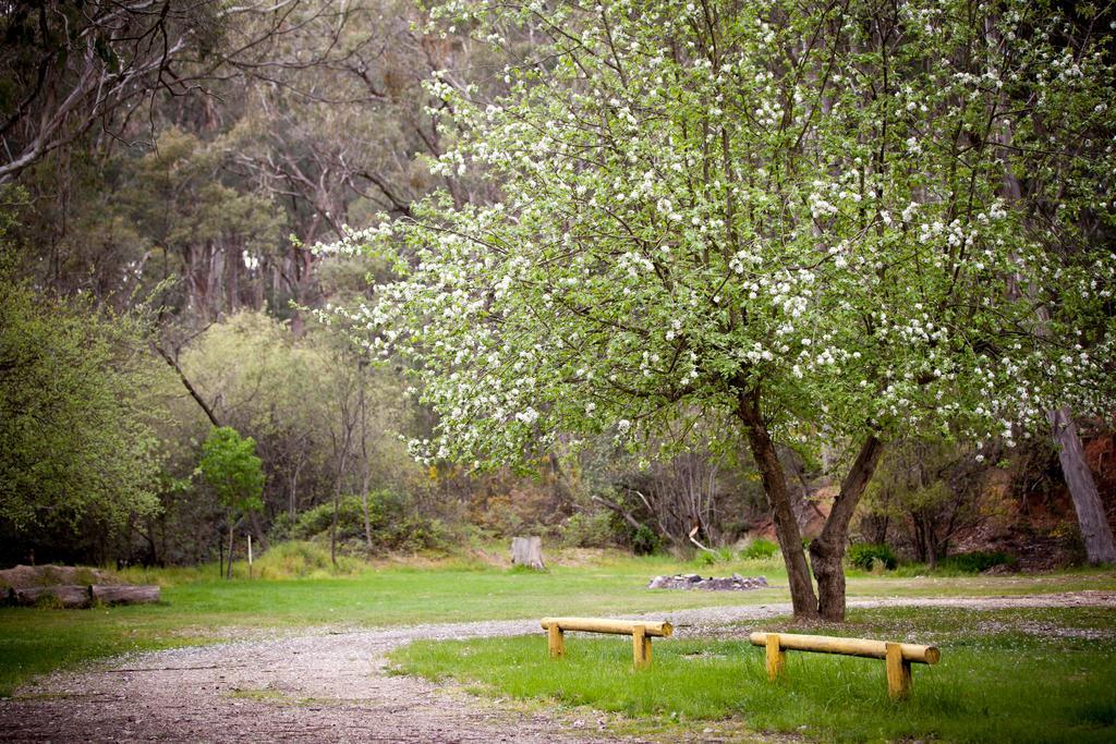 Holiday park Beechworth Holiday Park